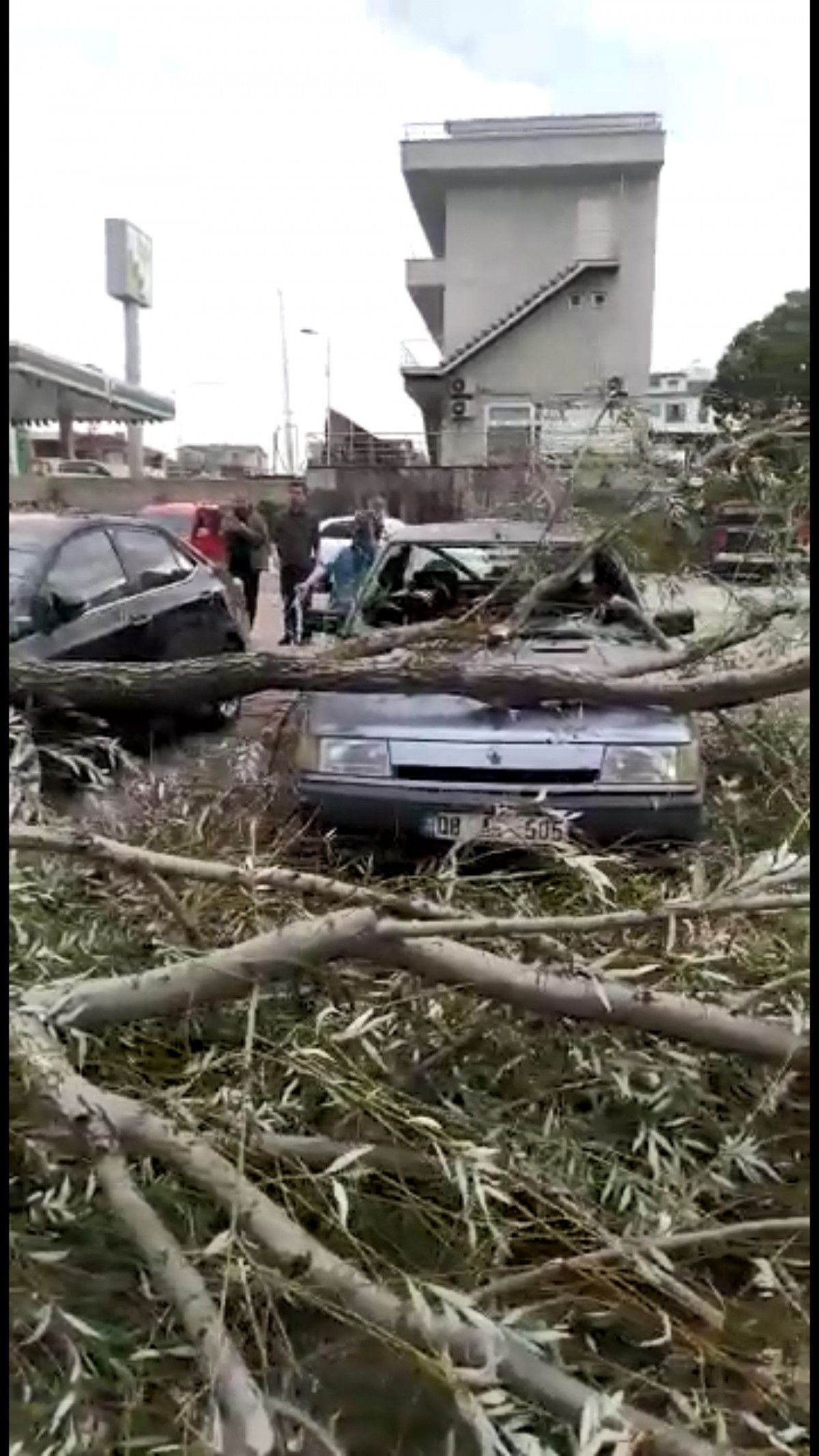 Kocaeli de şiddetli rüzgar ağaçları devirdi #4