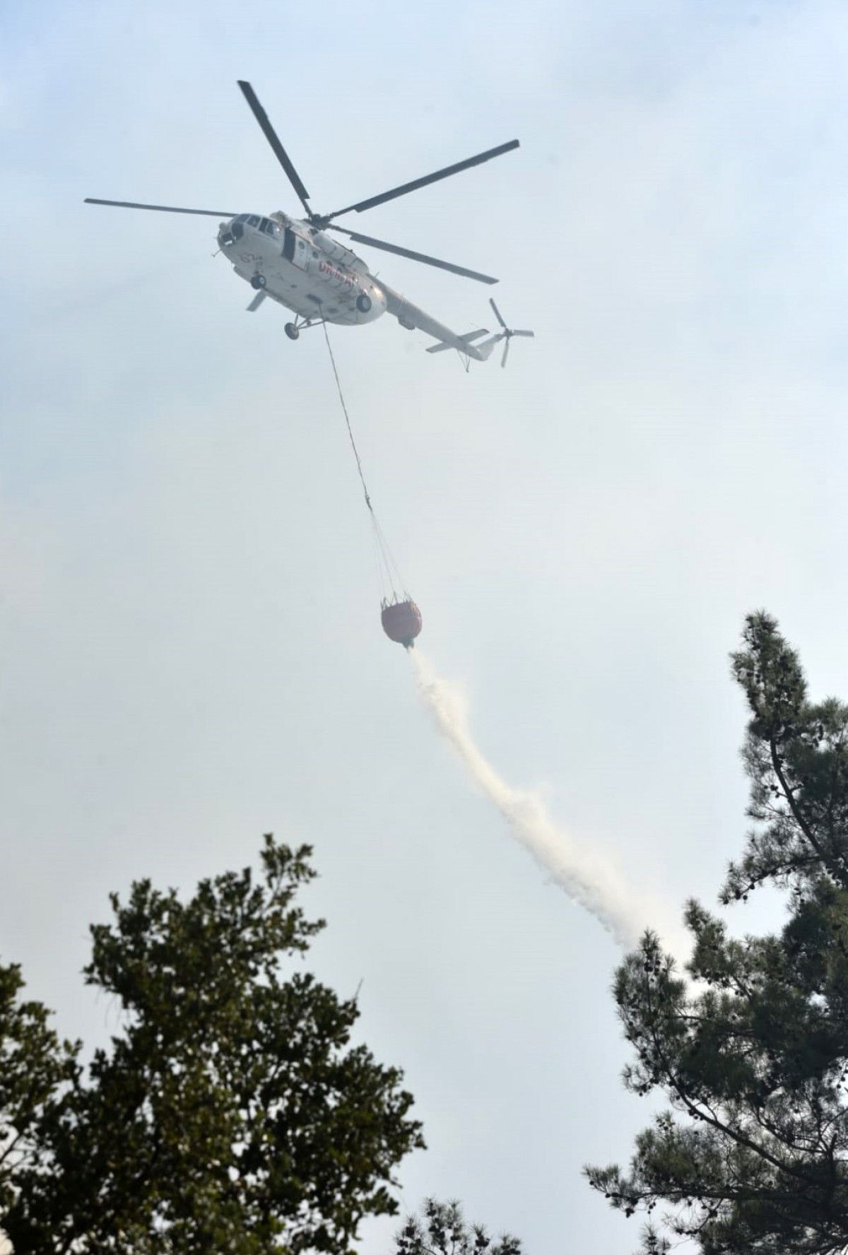 Antalya da orman yaktıkları iddiasıyla 7 Rus turist tutuklandı #3