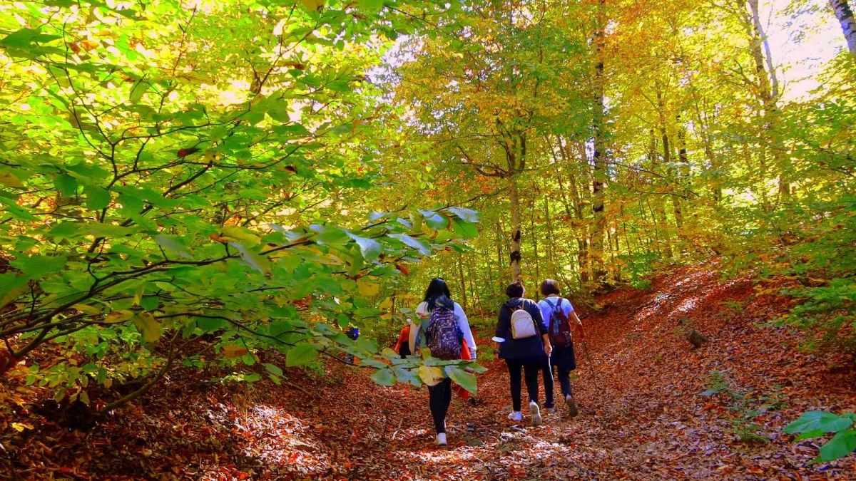 Osmaniye’nin gözde bölgesi Dumanlı Yayla #4