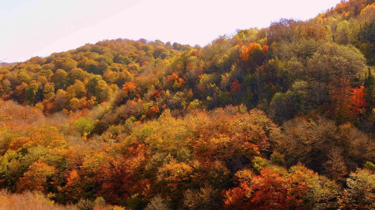 Osmaniye’nin gözde bölgesi Dumanlı Yayla #7