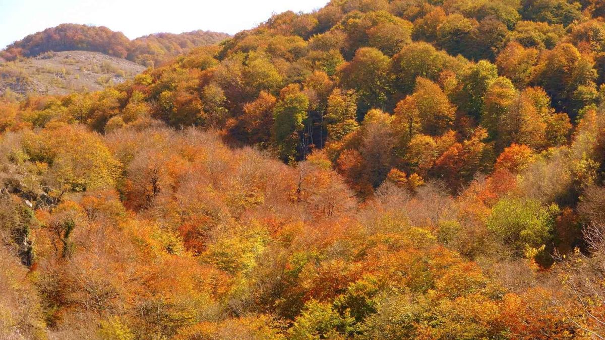 Osmaniye’nin gözde bölgesi Dumanlı Yayla #8