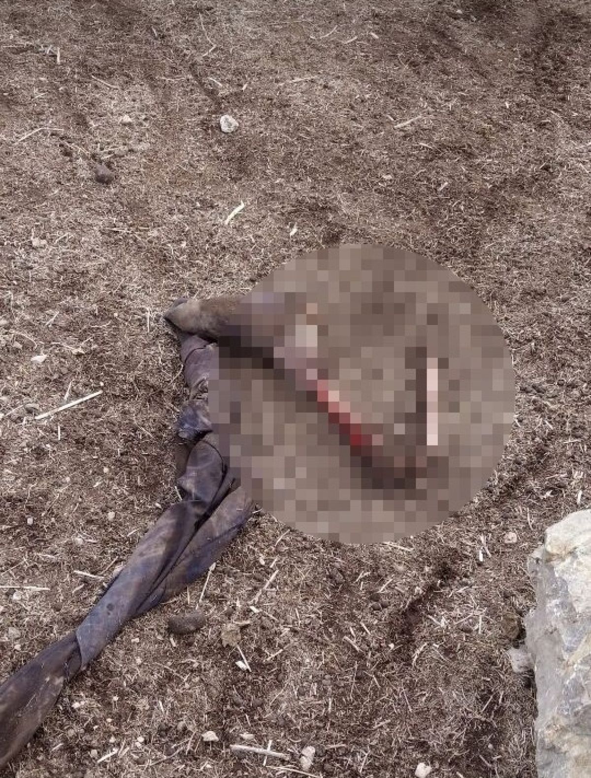 İran sınırında parçalanmış ceset bulundu #4