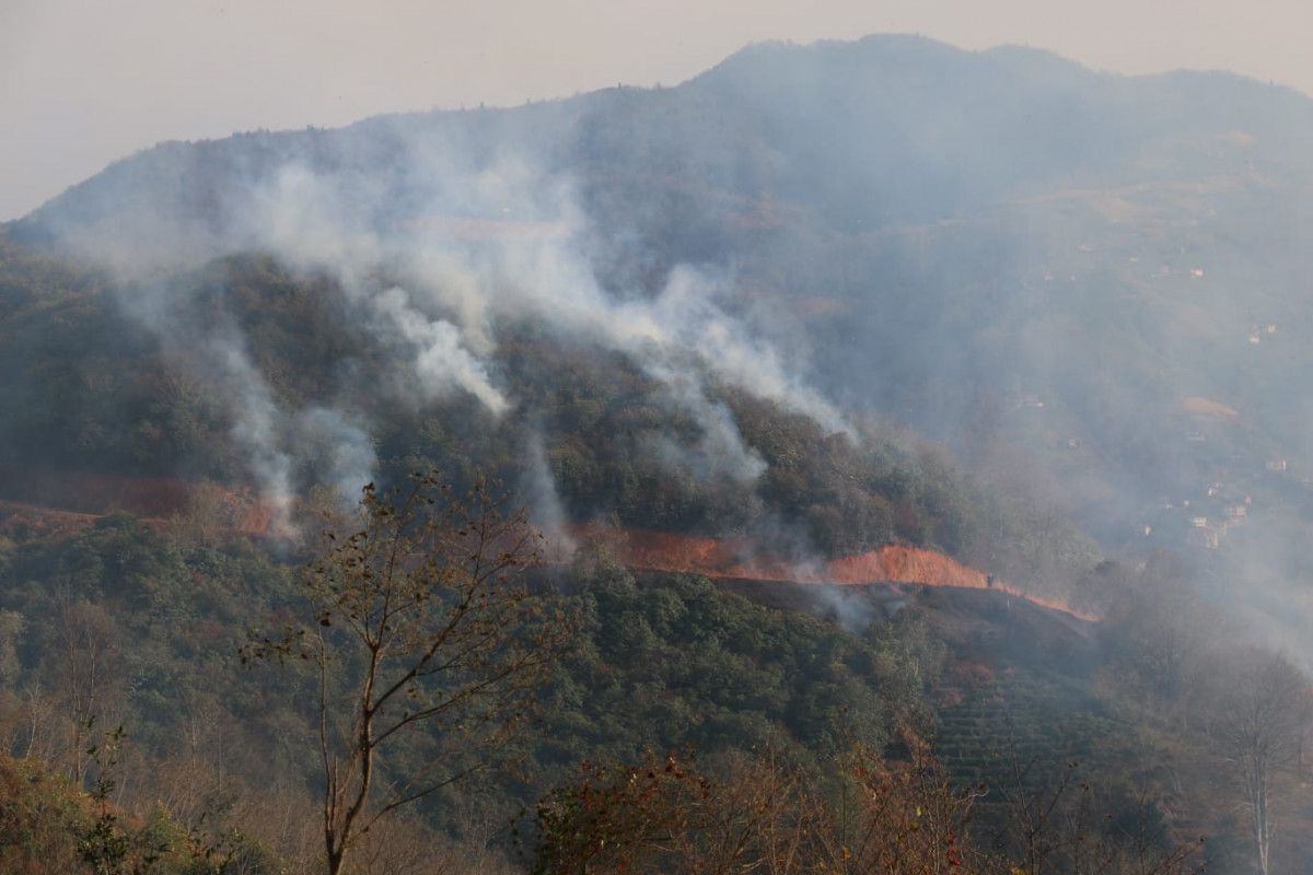 Trabzon da 4 ayrı noktada orman yangını çıktı #3