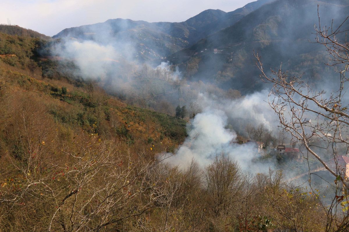 Trabzon da 4 ayrı noktada orman yangını çıktı #8