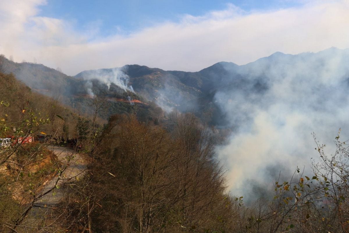 Trabzon da 4 ayrı noktada orman yangını çıktı #2