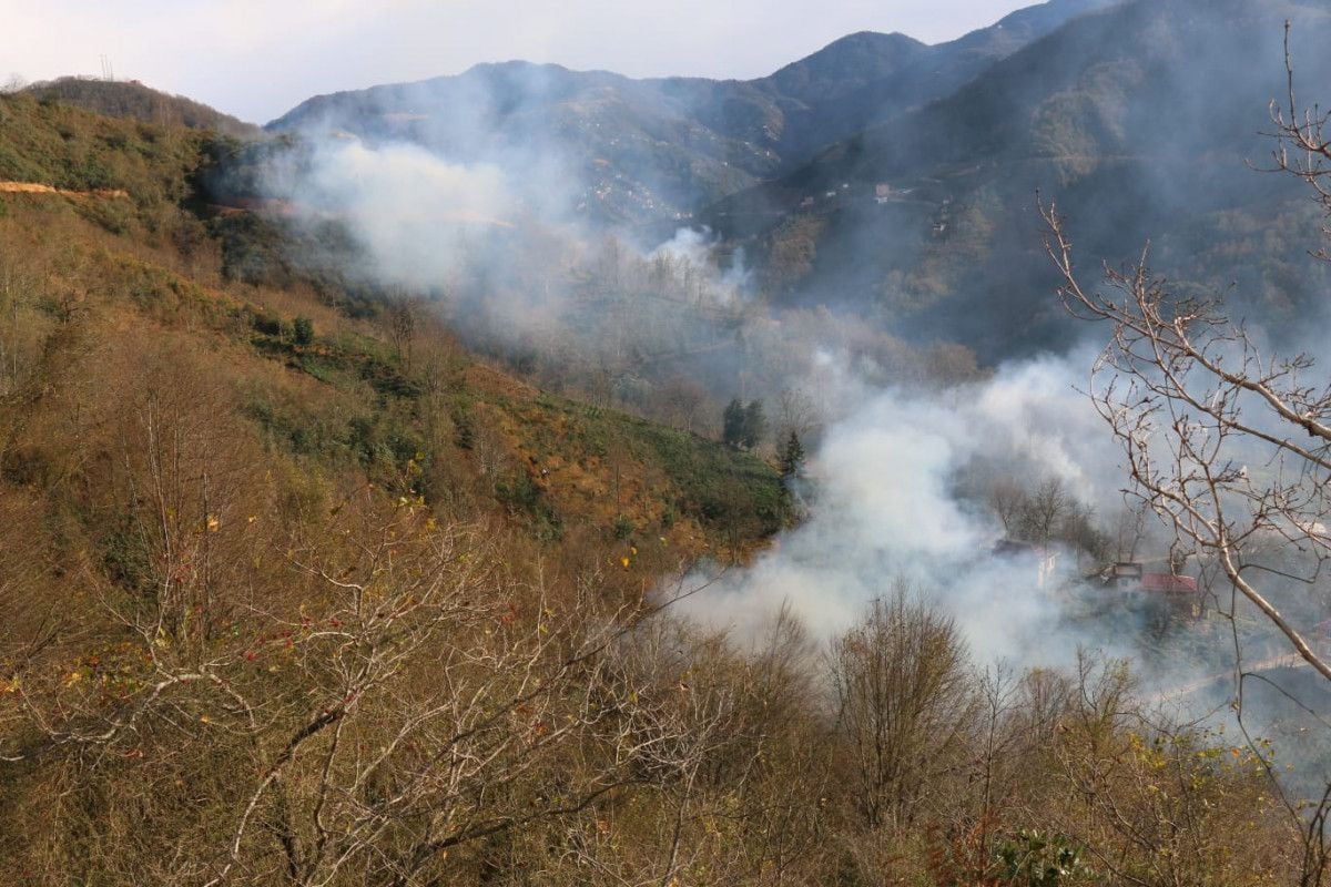 Trabzon da 4 ayrı noktada orman yangını çıktı #7