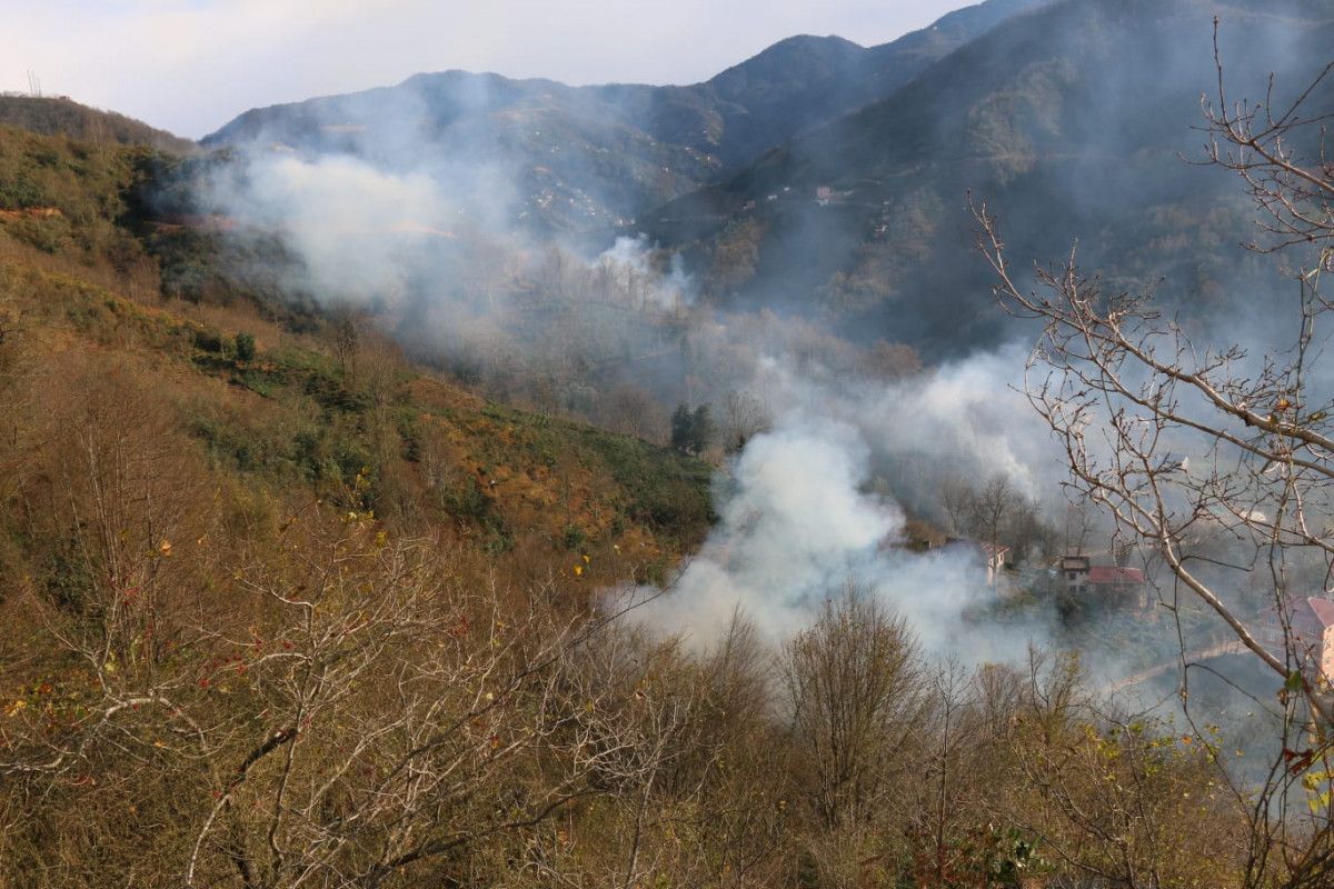 Trabzon da 4 ayrı noktada orman yangını çıktı #6