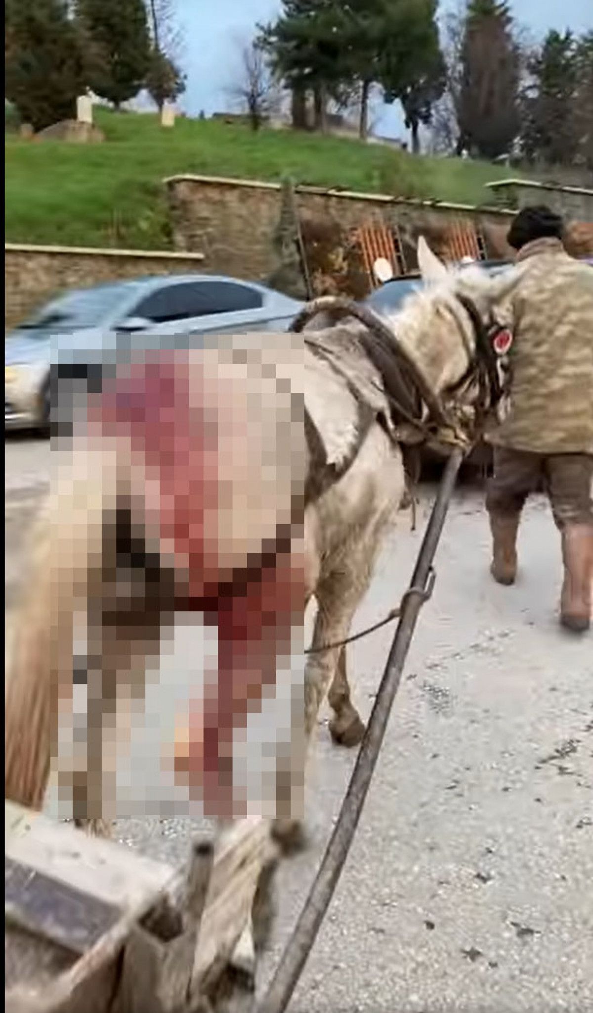 Edirne de kalçasından yaralı ata yük taşıtan adam tepki gördü #3
