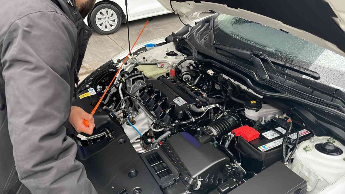 Yükselişe aldanmayın #5