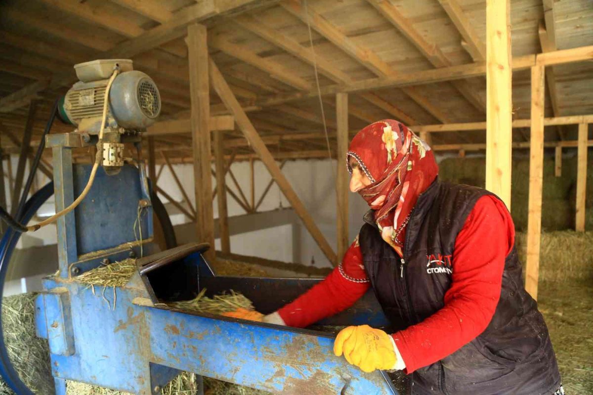 Gümüşhaneli kadınlar, bilezikleriyle hayvancılığa yatırım yaptı #2