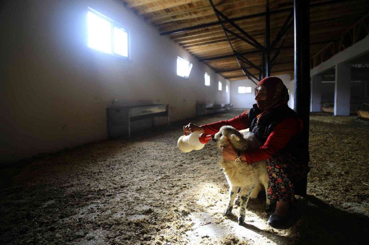 Gümüşhaneli kadınlar, bilezikleriyle hayvancılığa yatırım yaptı #7
