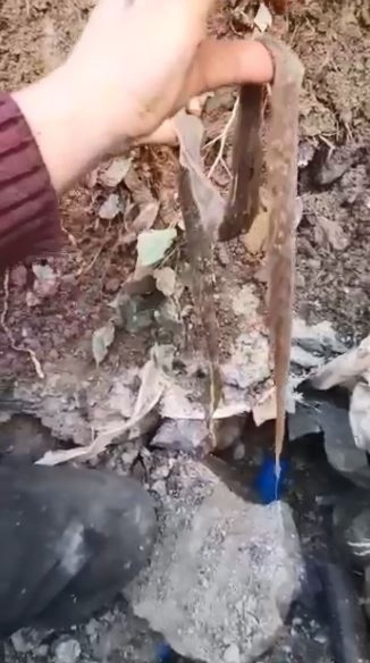 Artvin'de çeşme suyu borusundan 1 metre yılan derisi çıktı