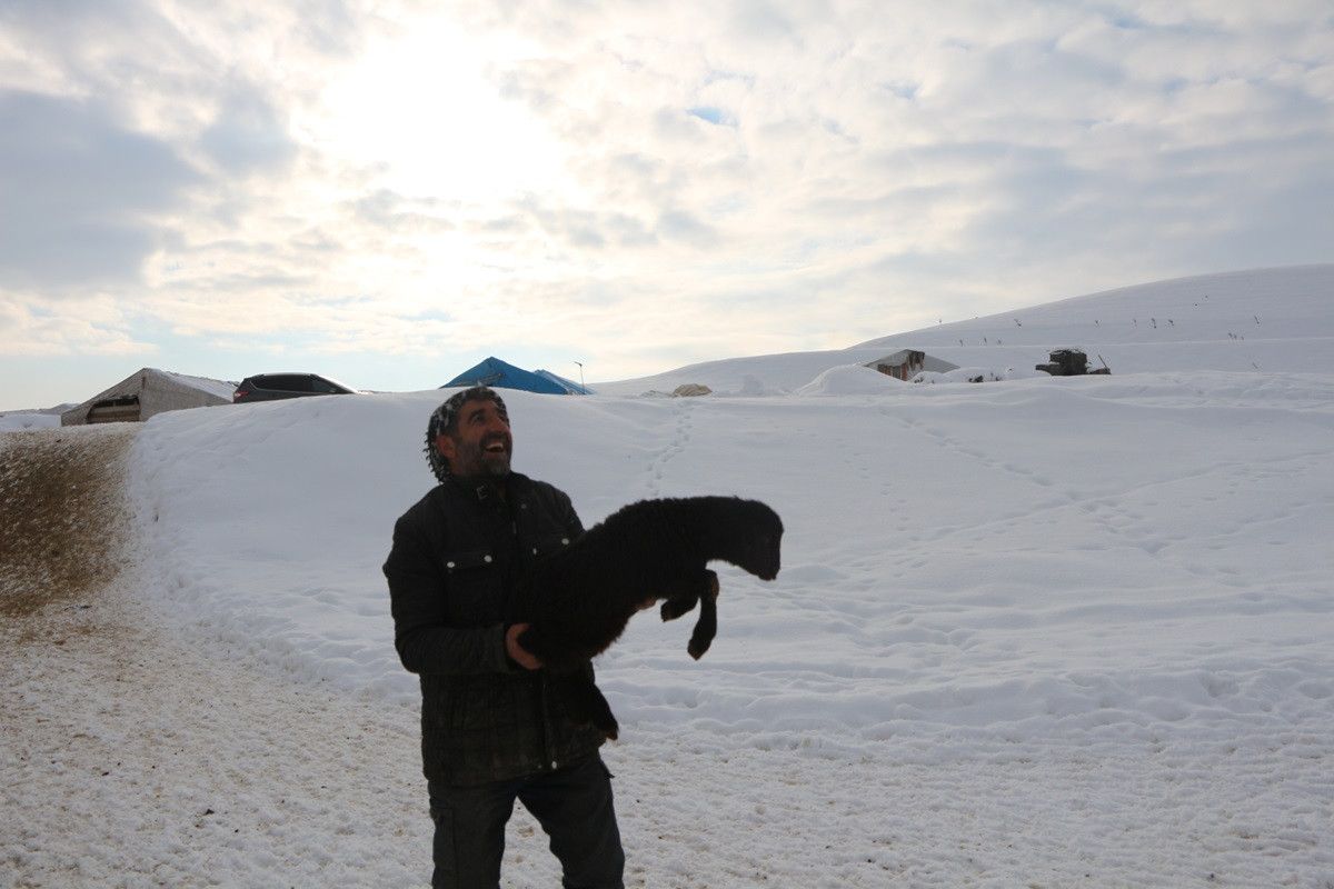 Bingöl de erken doğan kuzular, yetiştiricilerin yüzünü güldürdü #10
