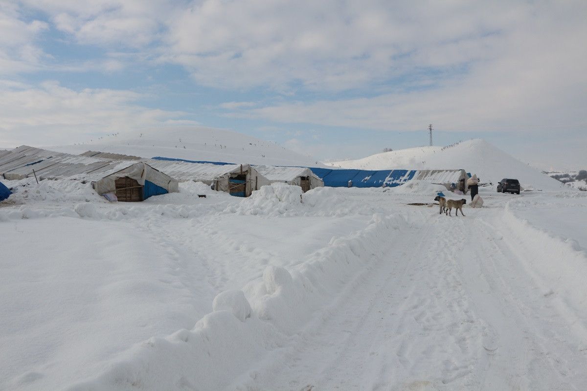 Bingöl de erken doğan kuzular, yetiştiricilerin yüzünü güldürdü #2