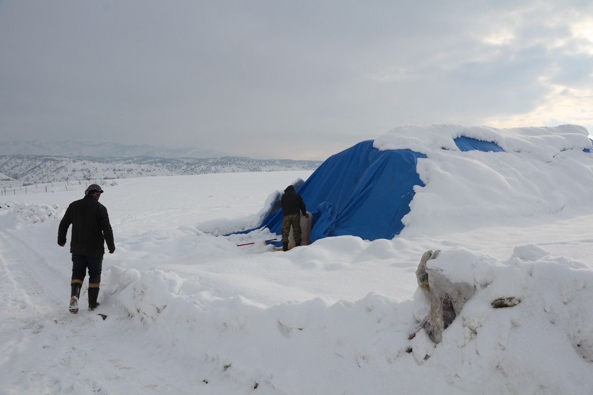 Bingöl de erken doğan kuzular, yetiştiricilerin yüzünü güldürdü #1
