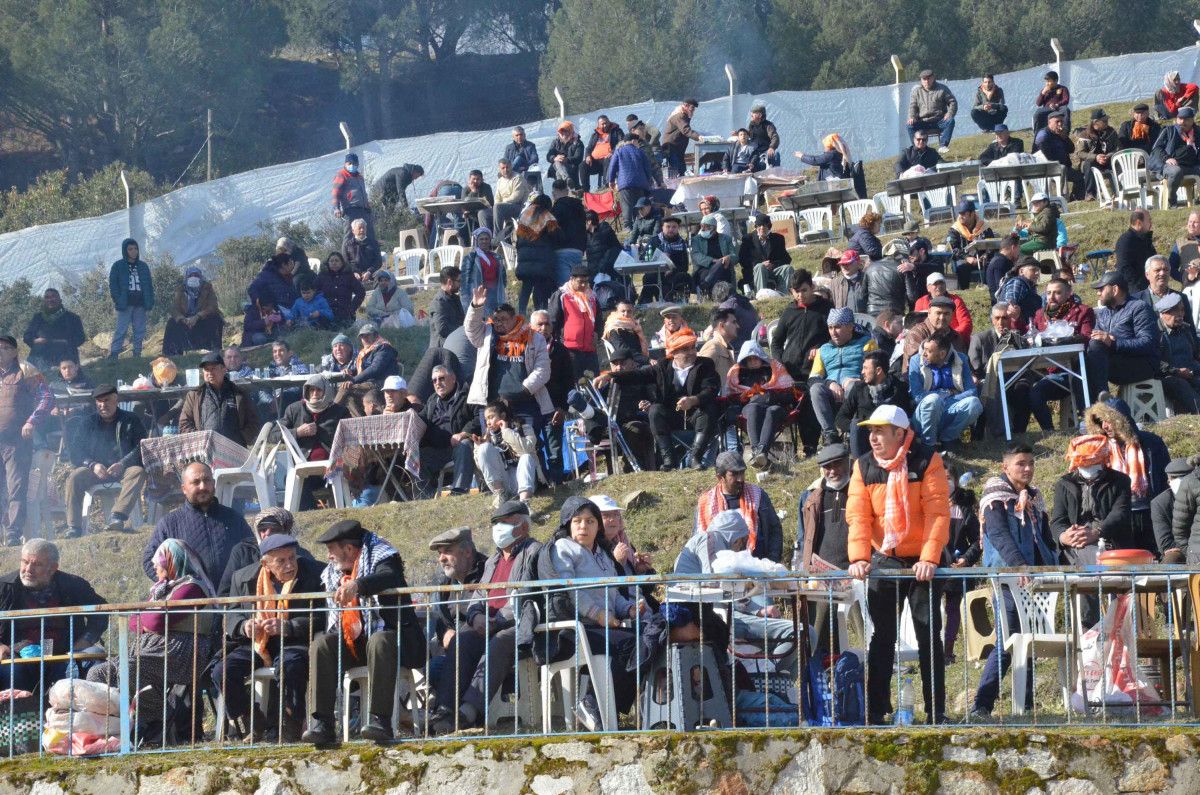 Aydın da deve güreşi festivali renkli görüntülere sahne oldu #3