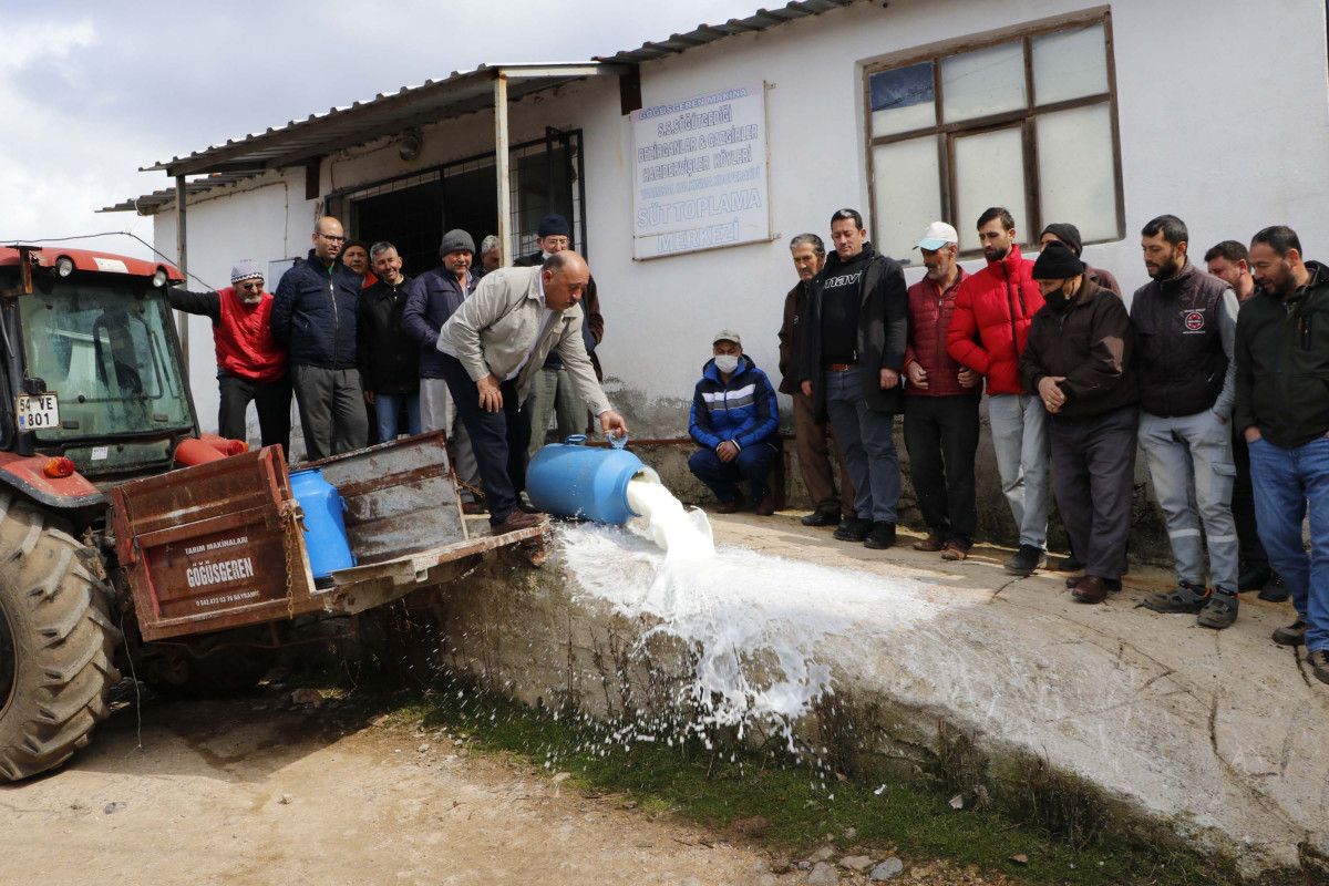 Çanakkale de üretici, mandıracılara kızıp süt döktü #3