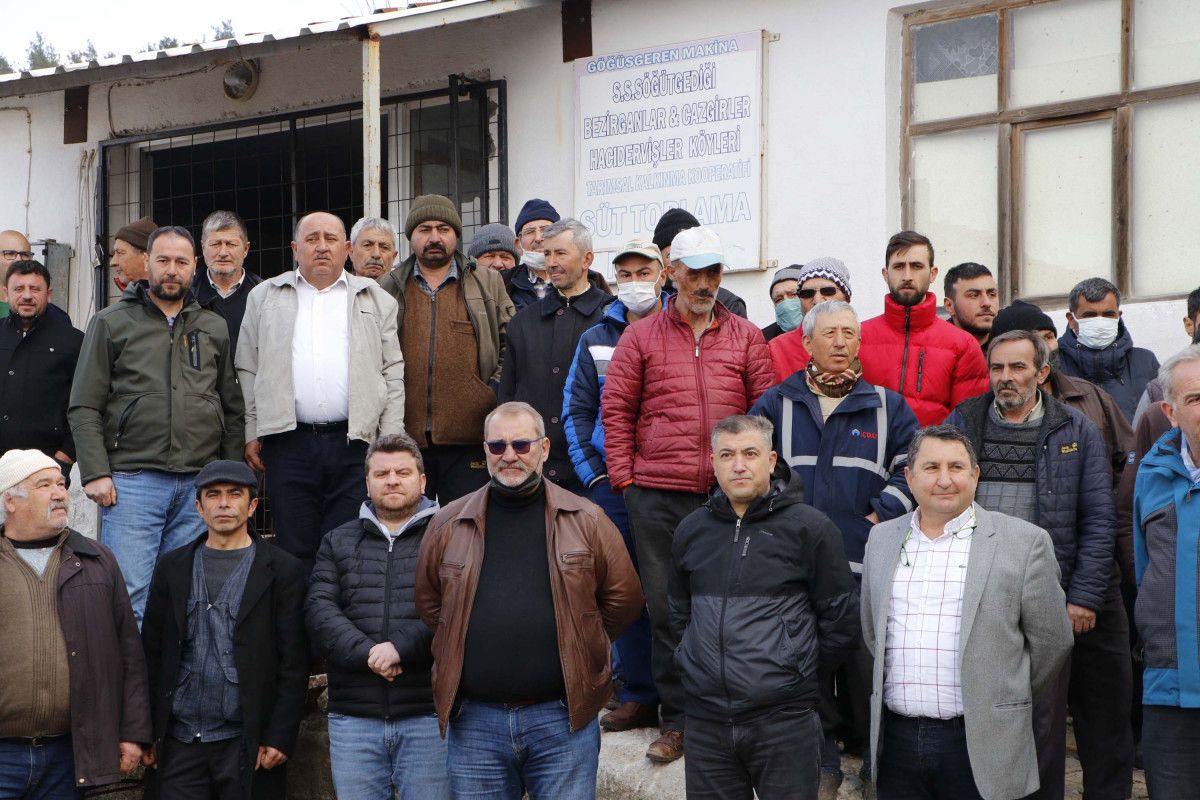 Çanakkale de üretici, mandıracılara kızıp süt döktü #5