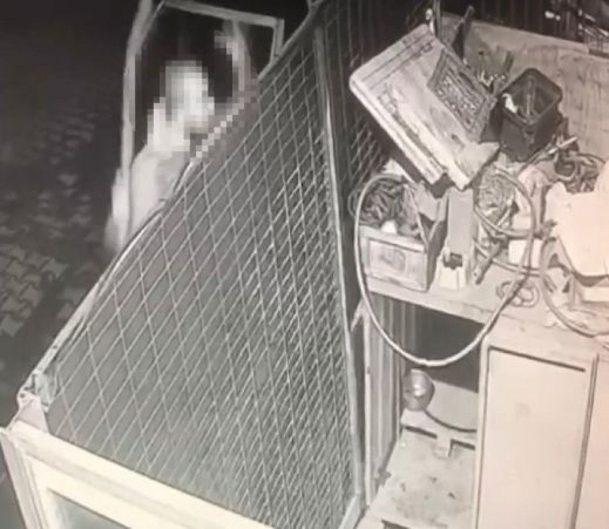 Başakşehir de köpeğe ateş ettiği kameraya yansıyan şüpheli yakalandı #2