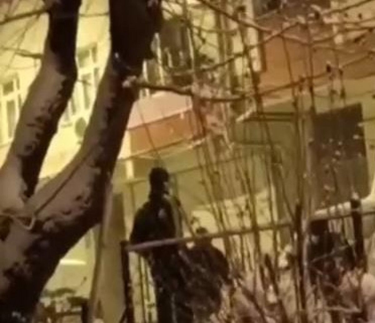 Esenler de gençlerin attığı kar topu cama gelince kavga çıktı #1