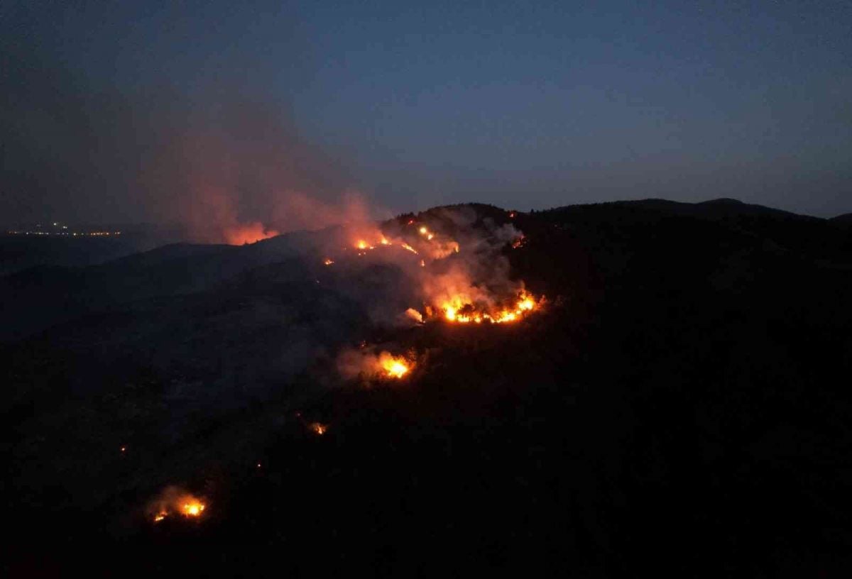 Bilecik’te orman yangını 12 saatte kontrol altına alındı #1
