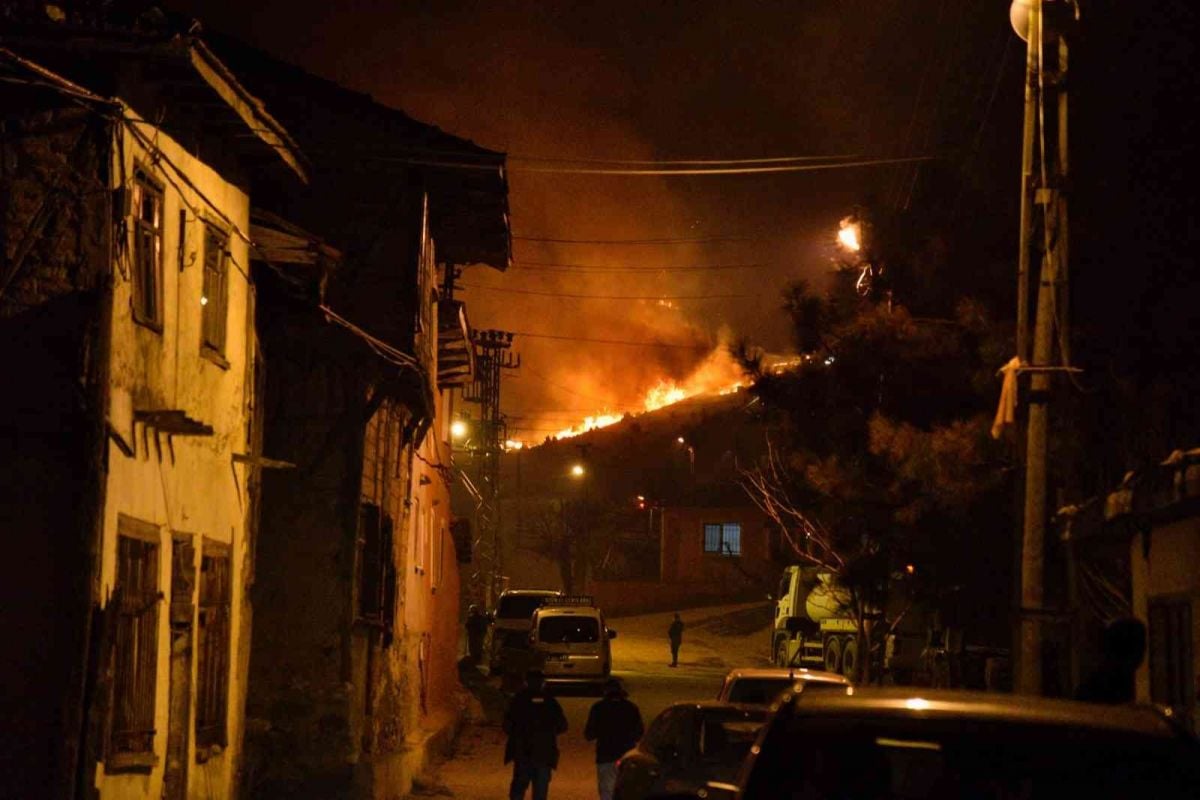 Bilecik’te orman yangını 12 saatte kontrol altına alındı #2