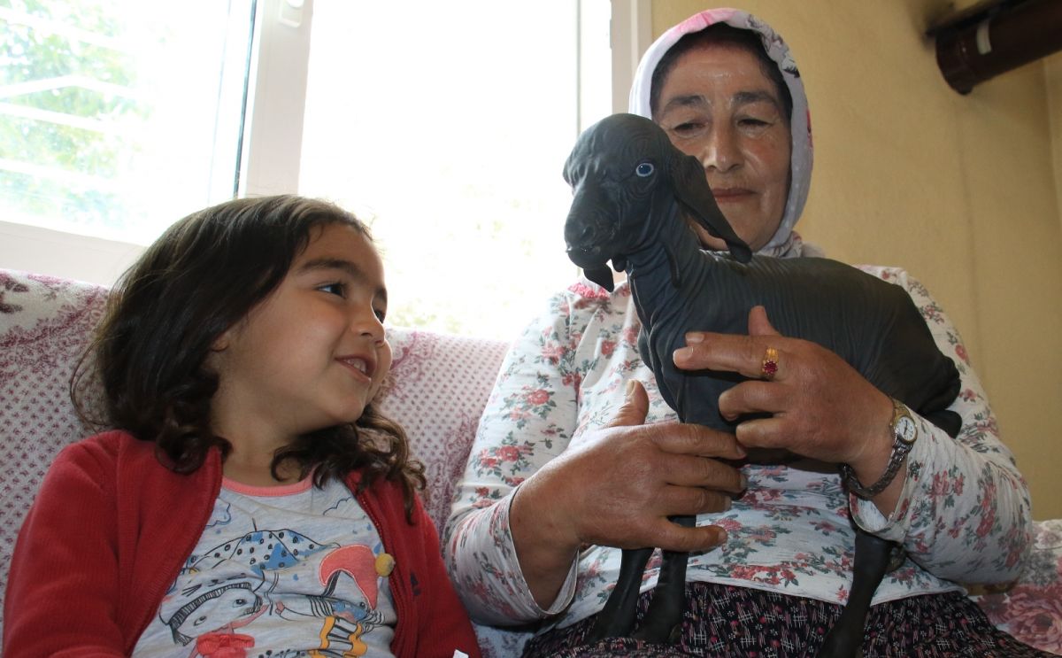 Mersin deki oğlak tüysüz doğdu #8