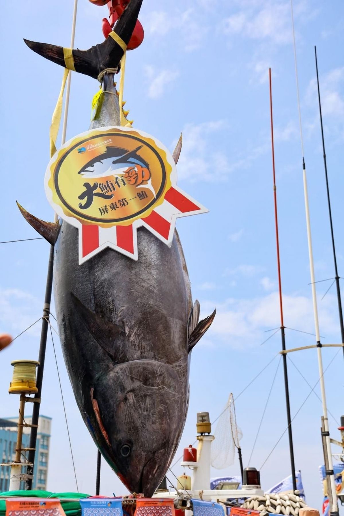 Tayvan’da ton balığı rekor fiyata satıldı #2