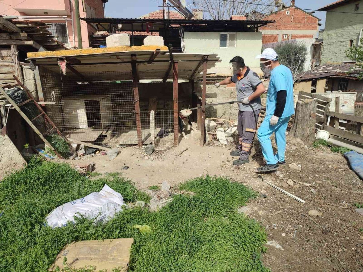 Denizli de pitbull besleyen kişiye 14 bin 982 lira idari para cezası #1