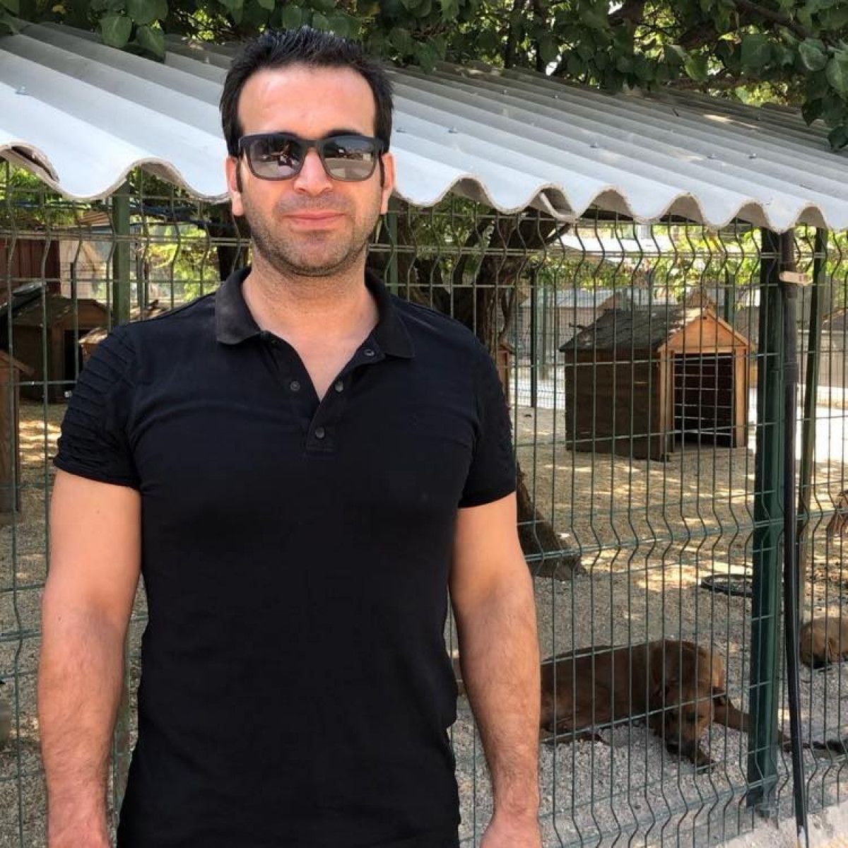 Hatay da yasaklı ırk köpekler birbirine saldırdı #2