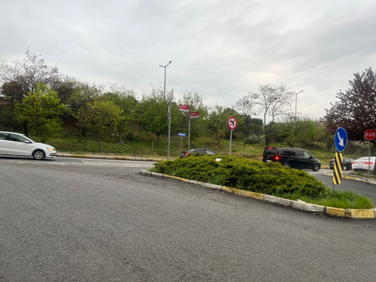 İstanbul da taksi şoförü kadın turisti darbetti #3