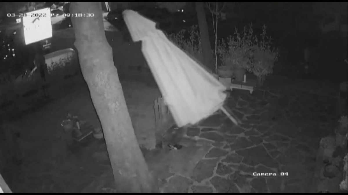 Sarıyer de iki gün arayla gittiği pidecinin şemsiyelerini çaldı #6