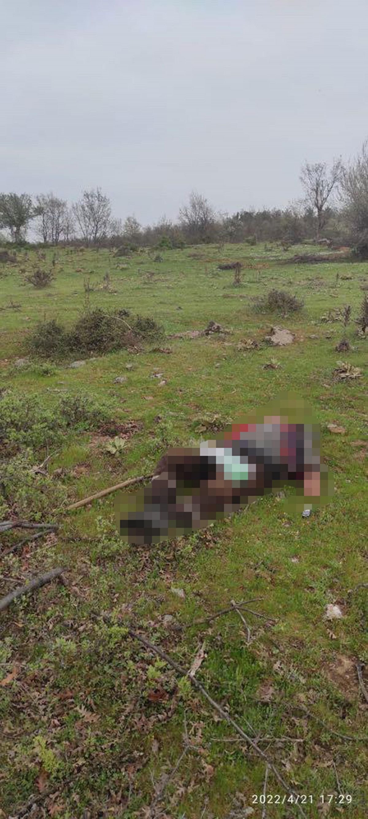 Manisa da bir kişi kuzenini av tüfeğiyle öldürdü #1