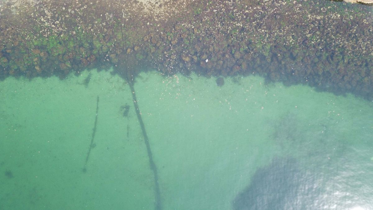 İstanbul sahillerinde müsilaj tedirginliği #6