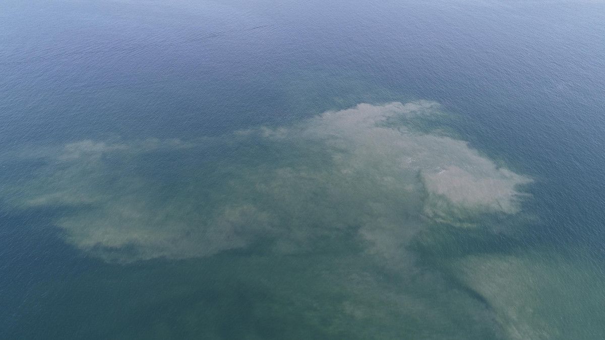 İstanbul sahillerinde müsilaj tedirginliği #4