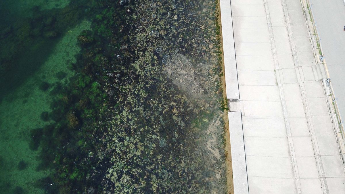 İstanbul sahillerinde müsilaj tedirginliği #9