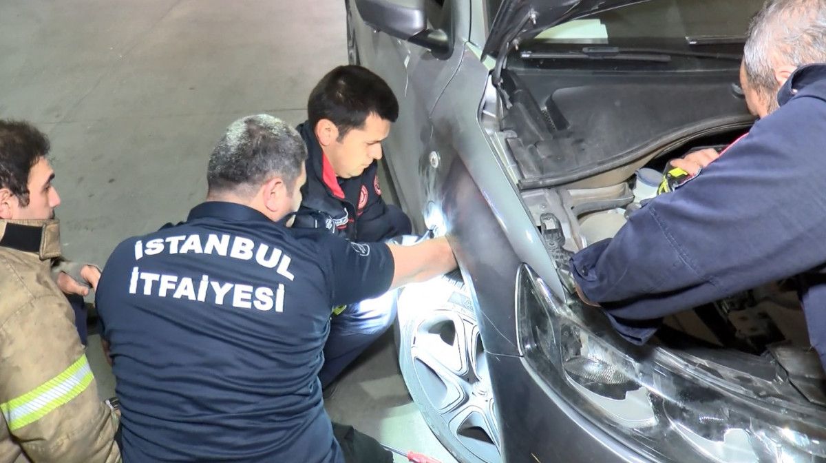 Anadolu Yakası nda aracının motoruna giren yavru kediyi karşıya geçince fark etti #2