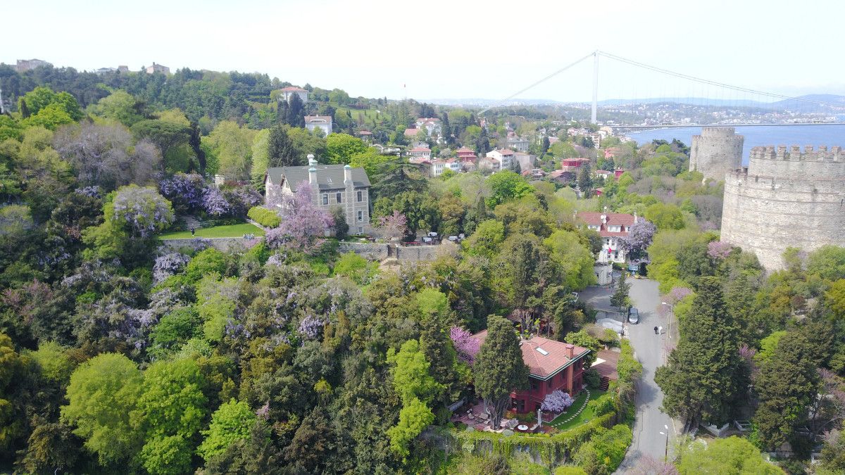 Çiçek açan erguvanlar İstanbul Boğazı nı süsledi  #7