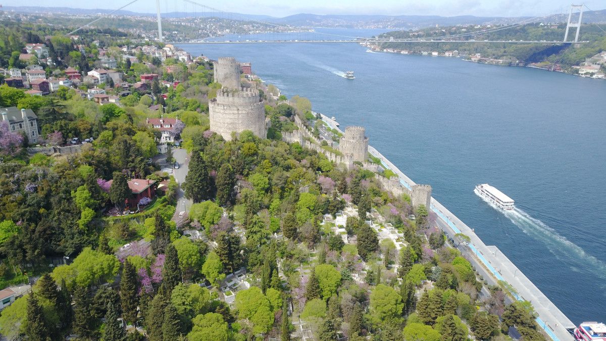Çiçek açan erguvanlar İstanbul Boğazı nı süsledi  #4