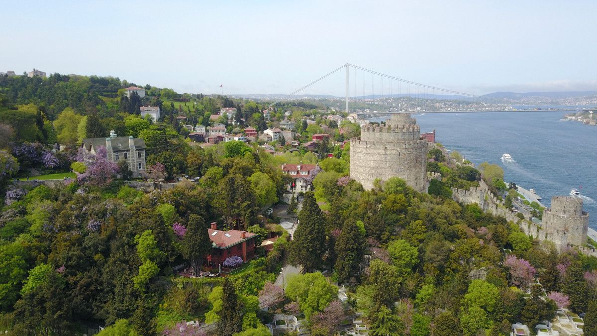 Çiçek açan erguvanlar İstanbul Boğazı nı süsledi  #5