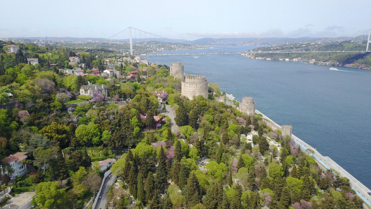 Çiçek açan erguvanlar İstanbul Boğazı nı süsledi  #2