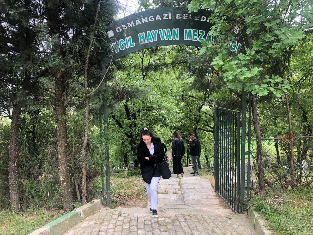 Bursa'da evcil hayvan mezarlığında bayram yoğunluğu