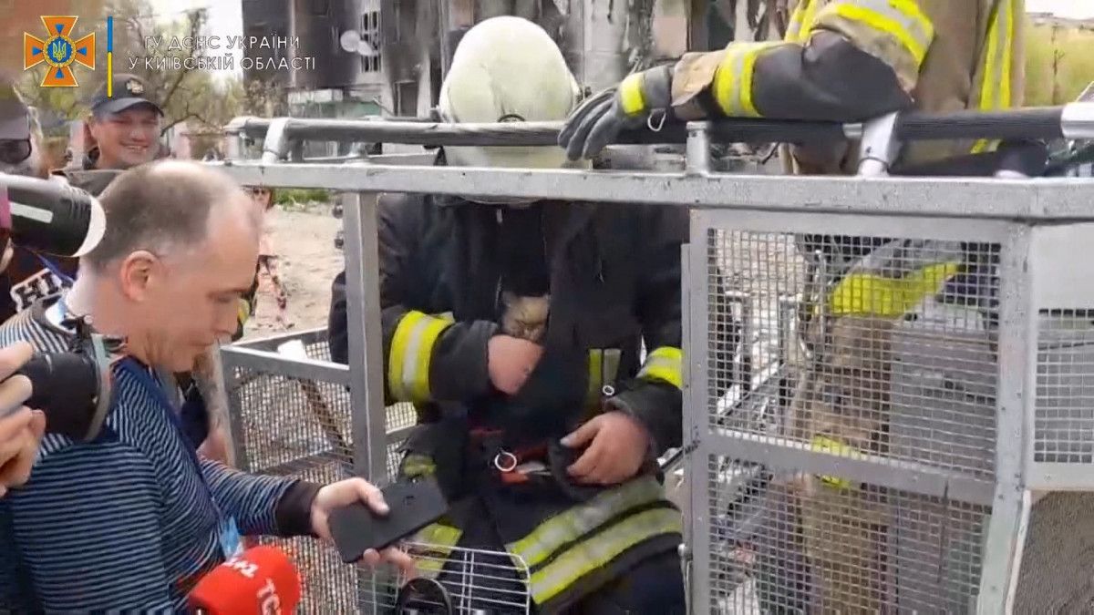 Cat rescued from collapsed building in bombarded Kyiv #4