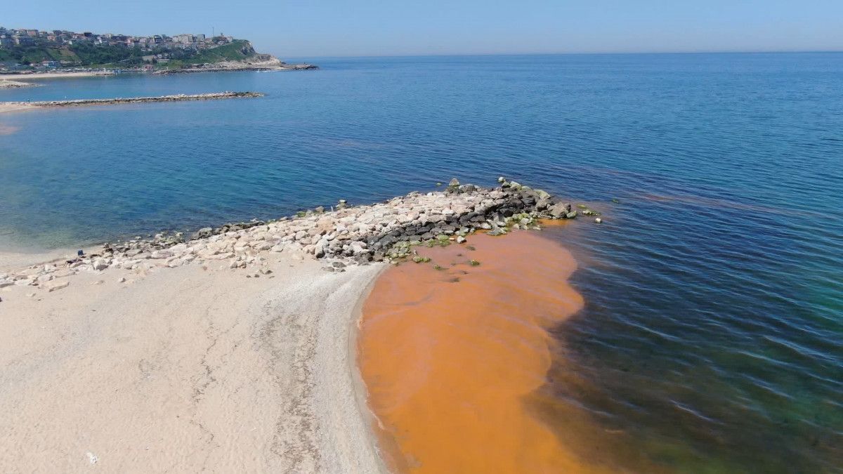 Karadeniz de denizin rengi turuncuya döndü #1