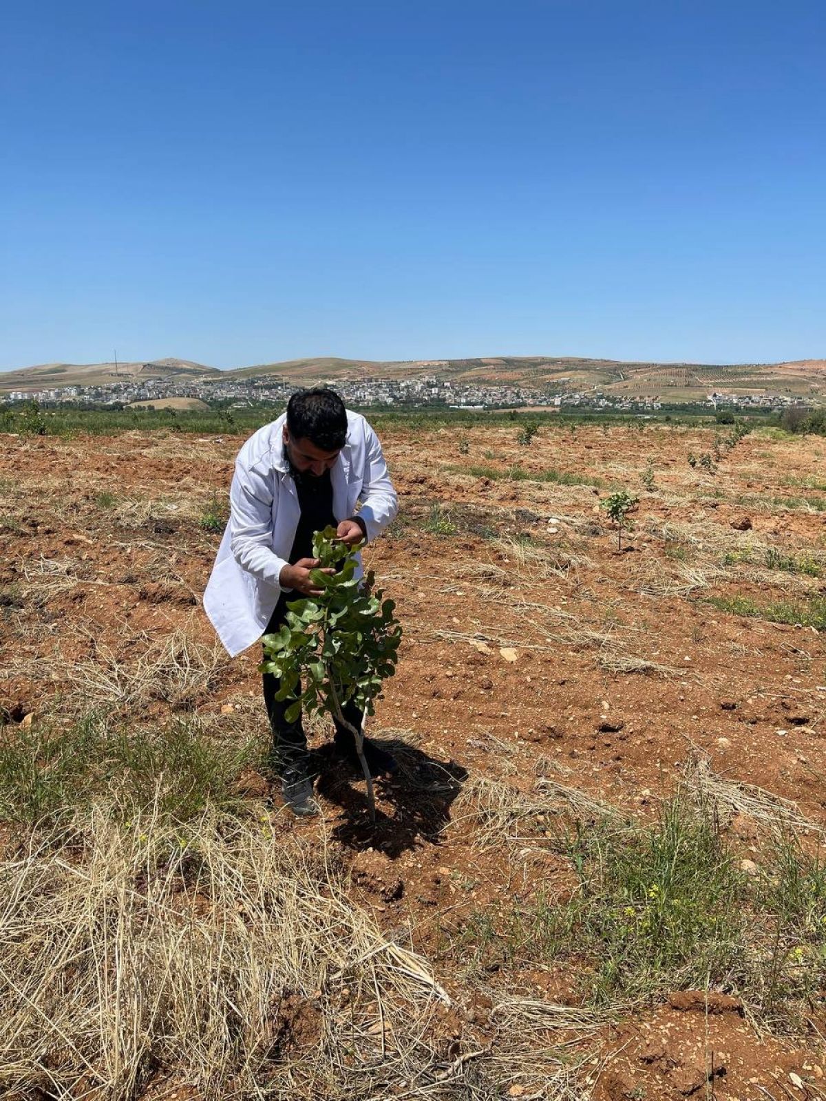 Şanlıurfa’da ekili arazilerin zararı, tarım sigortasının önemini ortaya koydu