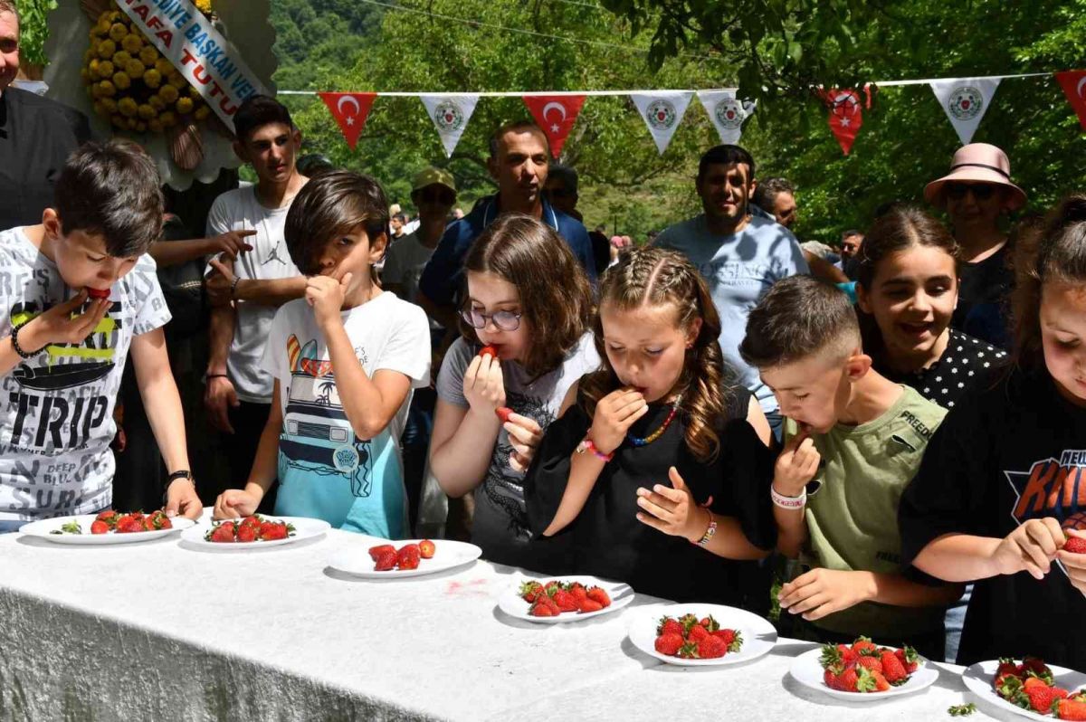Altınova’da çilek tadında festival
