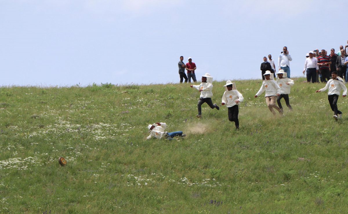 Vanlı arıcılar Bal Yuvarlama yarışması düzenledi #7