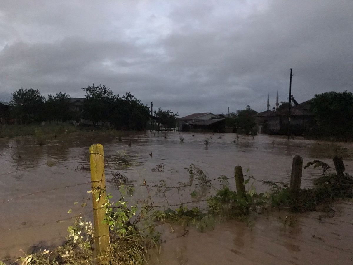 Sakarya Kocaali de dere taştı, ev ve iş yerlerini su bastı  #1