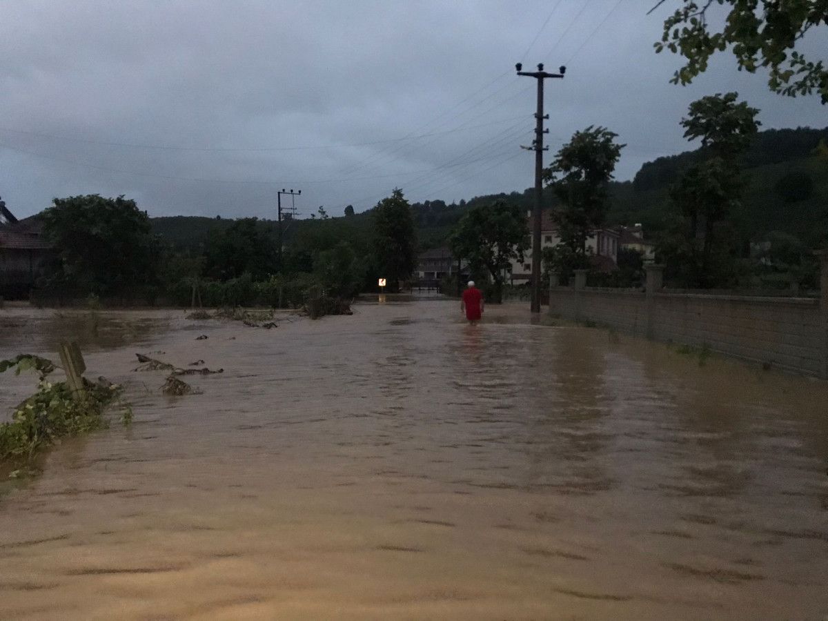 Sakarya Kocaali de dere taştı, ev ve iş yerlerini su bastı  #3