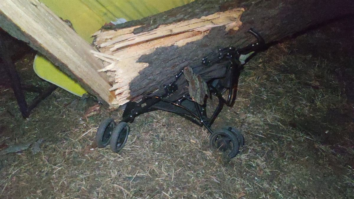 Bursa da çay bahçesinde oturanların üzerine ağaç devrildi: 2 yaralı #7